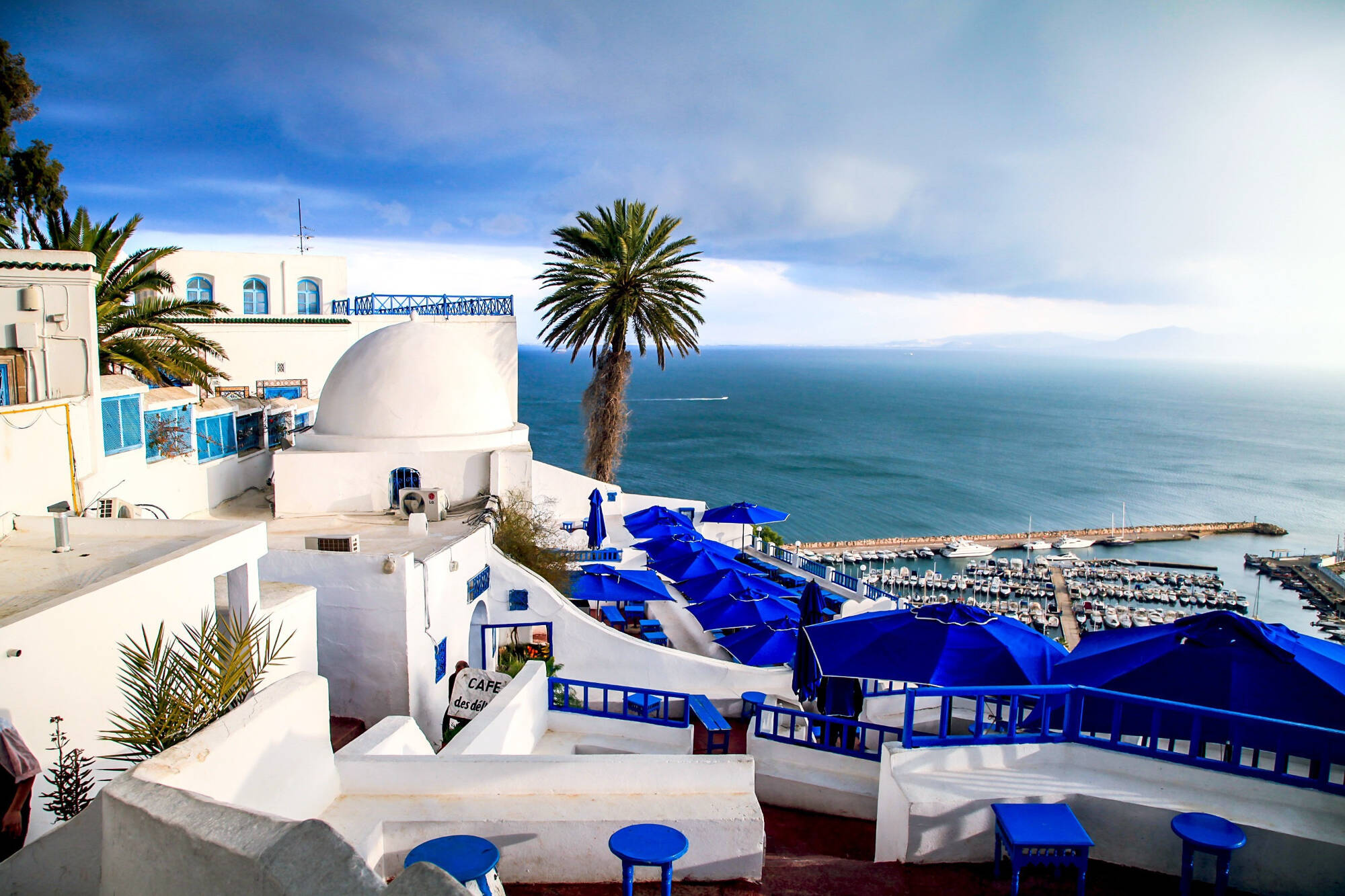 Image of Tunisia with blue roofs, white buildings, and a palm tree overlooking the Mediterranean Sea